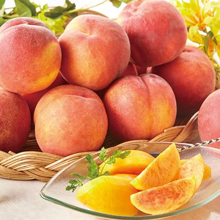 ★ワッサー　２０２６年７月中旬頃ー８月下旬頃お届け