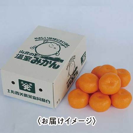 山北ハウスみかん　６月上旬頃ー７月下旬頃お届け