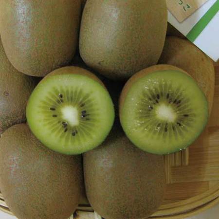 さぬきキウイっこ　１１月中旬頃ー１２月中旬頃お届け