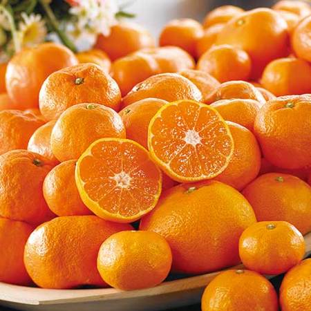 AQブランドのご家庭用ゆら早生みかん４.５キロ　１０月下旬頃ー１１月中旬頃お届け