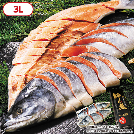 ≪お歳暮ギフト≫宗谷・オホーツク産新巻鮭寒風仕上げ（姿切身）　３Ｌ