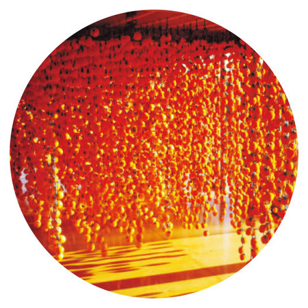 ≪お歳暮ギフト≫市田柿　化粧箱１５粒入り【１２月下旬お届け】