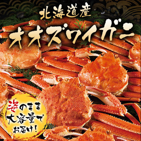 1円～北海道産冷凍ボイルオオズワイガニ4kg（10尾前後）〔B〕北港