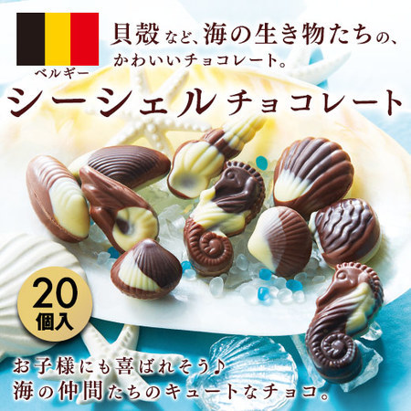 ≪お買得★３０％ＯＦＦ！！≫シーシェルチョコレート