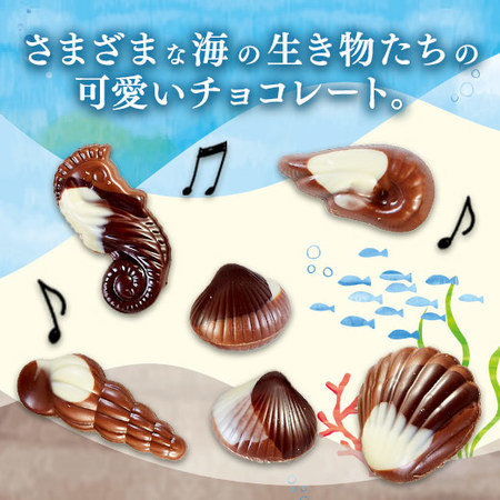 ≪お買得★３０％ＯＦＦ！！≫シーシェルチョコレート