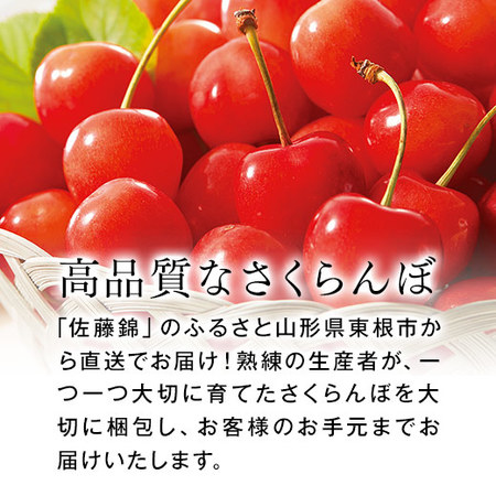 さくらんぼ職人の佐藤錦秀５００ｇ　6月上旬―7月上旬お届け