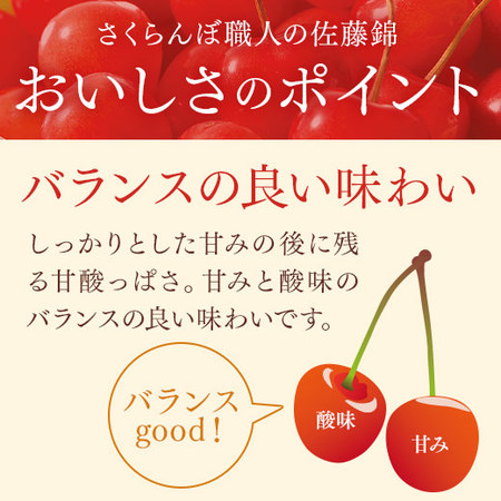 さくらんぼ職人の佐藤錦秀５００ｇ　6月上旬―7月上旬お届け