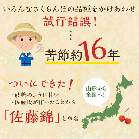 さくらんぼ職人の佐藤錦秀５００ｇ　6月上旬―7月上旬お届け