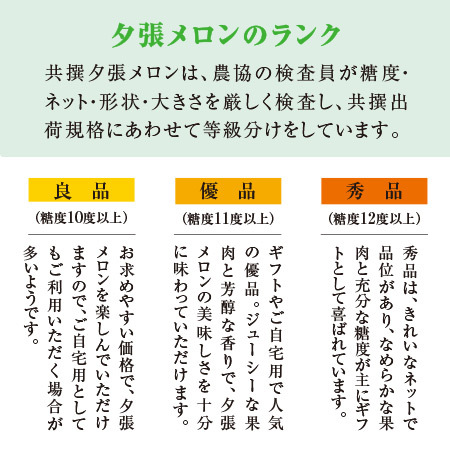 夕張メロン２玉（２．６ｋｇ）優品　7月上旬―7月下旬お届け