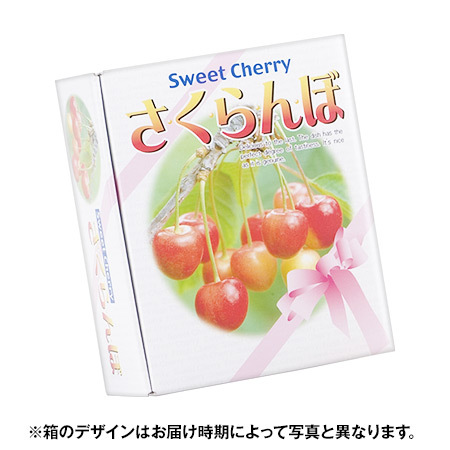 北海道のさくらんぼ　南陽５００ｇ　７月中旬～７月下旬お届け