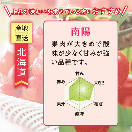 北海道のさくらんぼ　南陽５００ｇ　７月中旬～７月下旬お届け