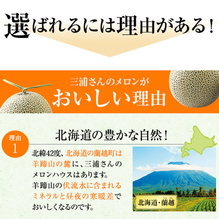 三浦さんのメロン２玉（３．２ｋｇ）　７月中旬―９月上旬お届け