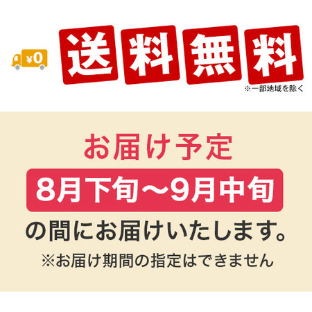 新食感のおどろき桃３ｋｇ　８月下旬―９月中旬お届け