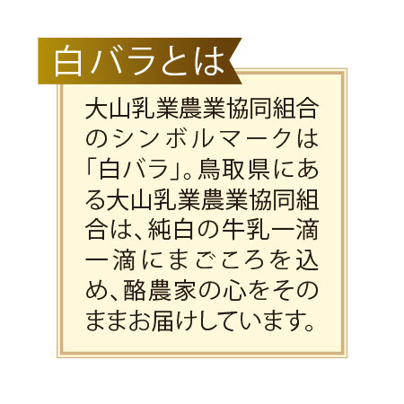 白バラ牛乳アイスバーセット　【10日前後お届け】