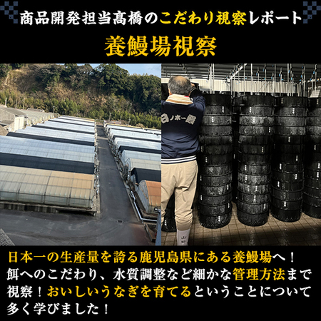 鹿児島県産こだわりうなぎ蒲焼１尾　【丑の日お届け】