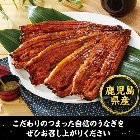 鹿児島県産こだわりうなぎ蒲焼１尾　【丑の日お届け】