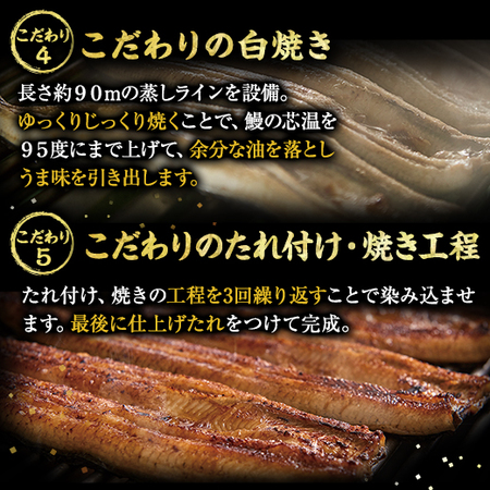 メガサイズ！鹿児島県産こだわりうなぎ蒲焼３尾　【父の日お届け】