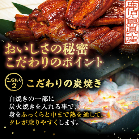 鹿児島県産お徳用カットうなぎ３パック　【丑の日お届け】