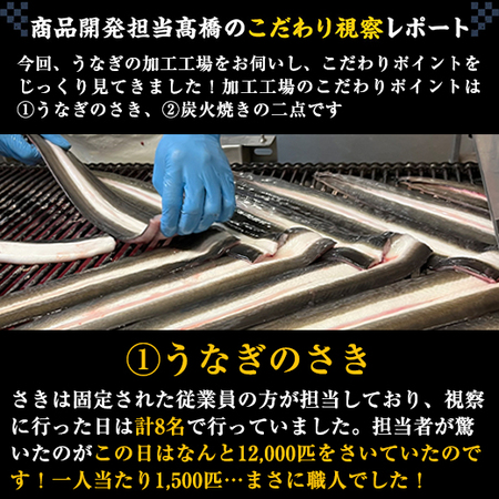 鹿児島県産お徳用カットうなぎ３パック　【丑の日お届け】