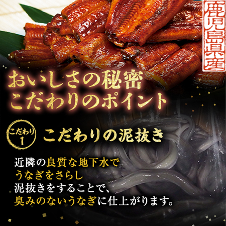 鹿児島県産お徳用カットうなぎ３パック【通常お届け】