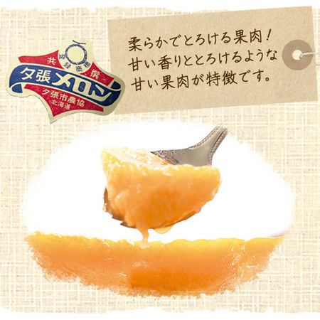 夕張メロン１玉（２ｋｇ前後）　秀品　６月下旬ー７月中旬お届け