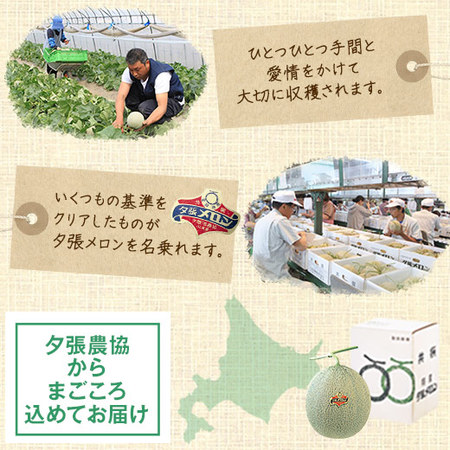 夕張メロン２玉（４ｋｇ前後） 優品　７月上旬ー７月下旬お届け