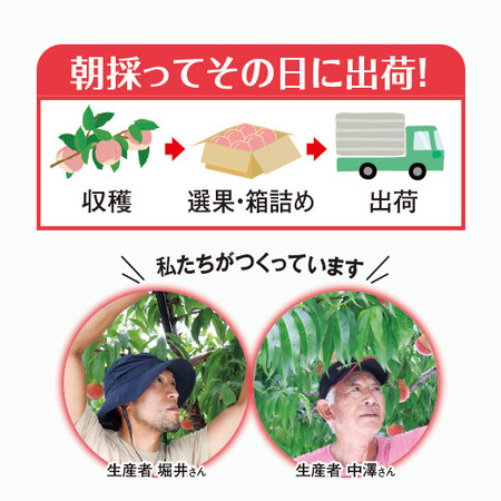 桃職人が作った朝採り桃３ｋｇ前後　７月中旬ー７月下旬お届け