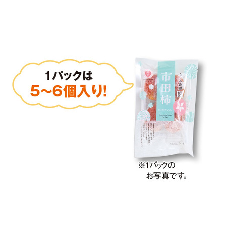 長野県産　市田柿９００ｇ【10日前後お届け】