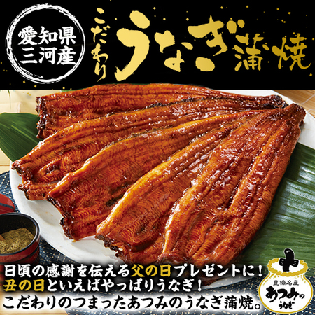 愛知県三河産うなぎ蒲焼　１２０ｇ　１尾【丑の日お届け】