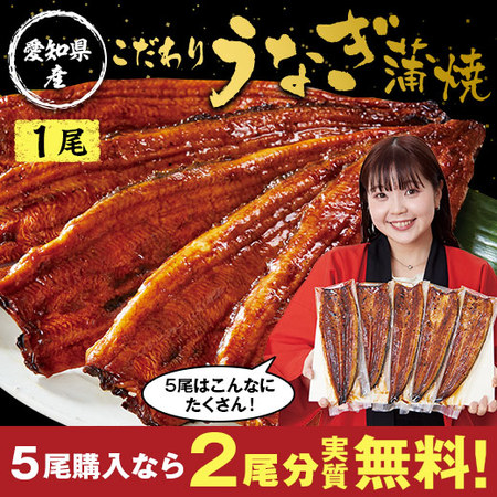 愛知県三河産うなぎ蒲焼　１２０ｇ　１尾【丑の日お届け】