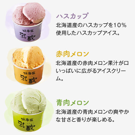 乳蔵北海道アイスクリーム３２個【１０日前後お届け】