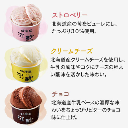 乳蔵北海道アイスクリーム３２個【お届け期間指定可】