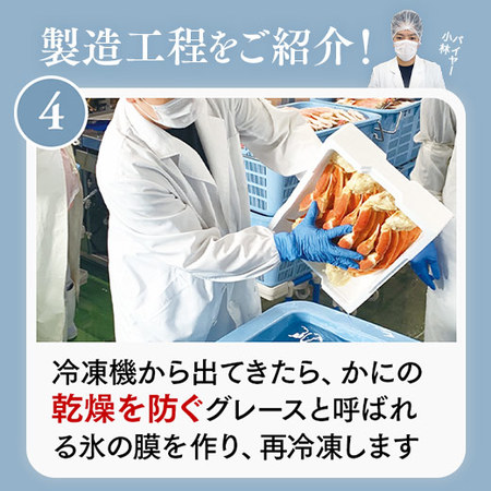 ボイルズワイガニ脚　１．６ｋｇ【お届け期間指定可】