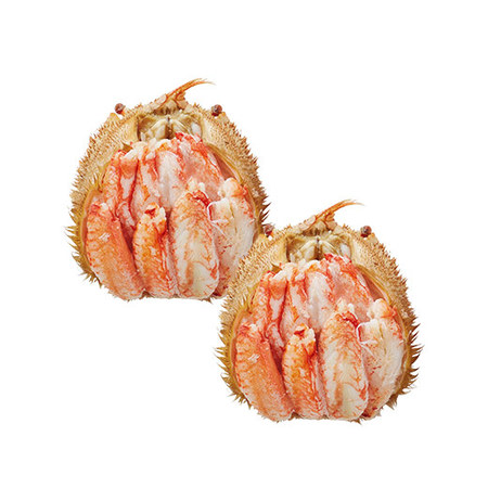 大型サイズ！北海道産毛ガニの甲羅盛　２個【お届け期間指定可】