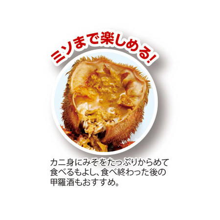 北海道産毛ガニ姿　２尾【お届け期間指定可】