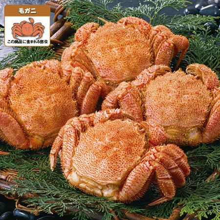 北海道産毛ガニ姿　２尾【お届け期間指定可】