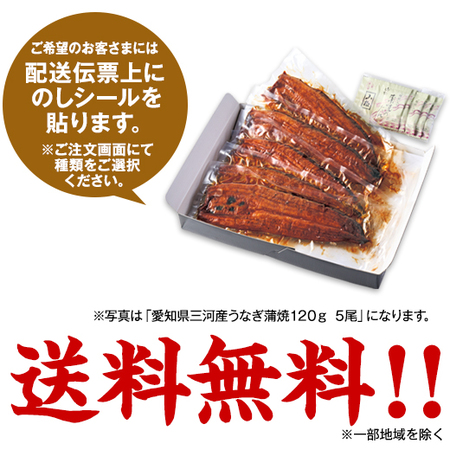愛知県三河産うなぎ蒲焼１２０ｇ　１尾【お届け期間指定可】