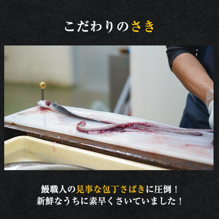 愛知県三河産うなぎ蒲焼１２０ｇ　３尾【１０日前後お届け】