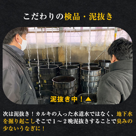 愛知県三河産うなぎ蒲焼１２０ｇ　５尾【１０日前後お届け】