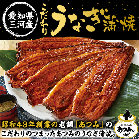 愛知県三河産うなぎ蒲焼１２０ｇ　５尾【お届け期間指定可】