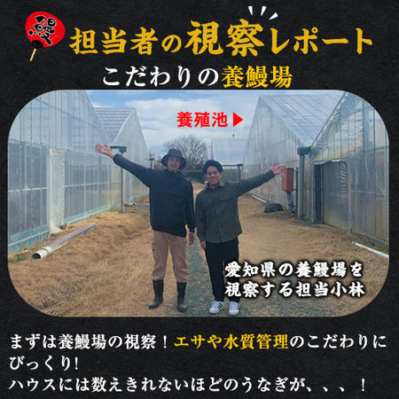 愛知県三河産うなぎ蒲焼１２０ｇ　５尾【お届け期間指定可】