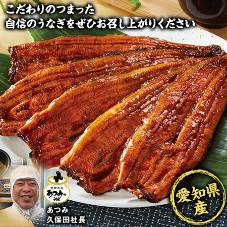 愛知県三河産うなぎ蒲焼１２０ｇ　５尾【お届け期間指定可】