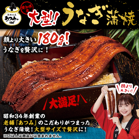 メガサイズ！愛知県三河産うなぎ蒲焼１８０ｇ　３尾【１０日前後お届け】