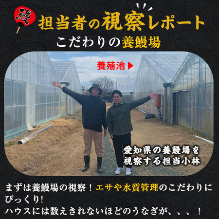 メガサイズ！愛知県三河産うなぎ蒲焼１８０ｇ　５尾【１０日前後お届け】