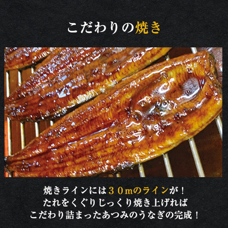 メガサイズ！愛知県三河産うなぎ蒲焼１８０ｇ　５尾【お届け期間指定可】