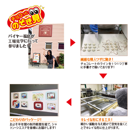 シャトン・シエステ【通常お届け】