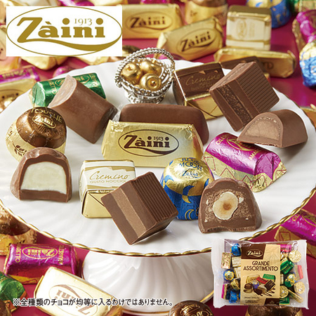 ザイーニ　アソートチョコレート４００ｇ【通常お届け】