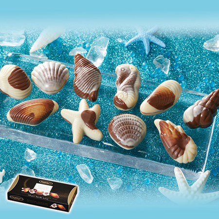 エクセルシウム　シーシェルチョコ【通常お届け】