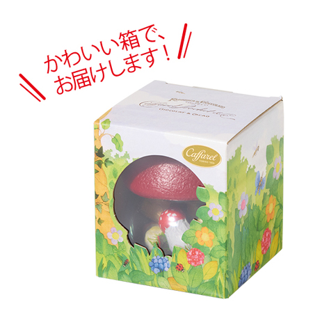 カファレル　きのこポット　赤【通常お届け】