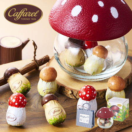 カファレル　きのこポット　赤【通常お届け】